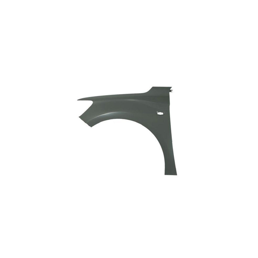 Blic 6504-04-0560311P Wing Fender for Citroen C-Elysée Saloon