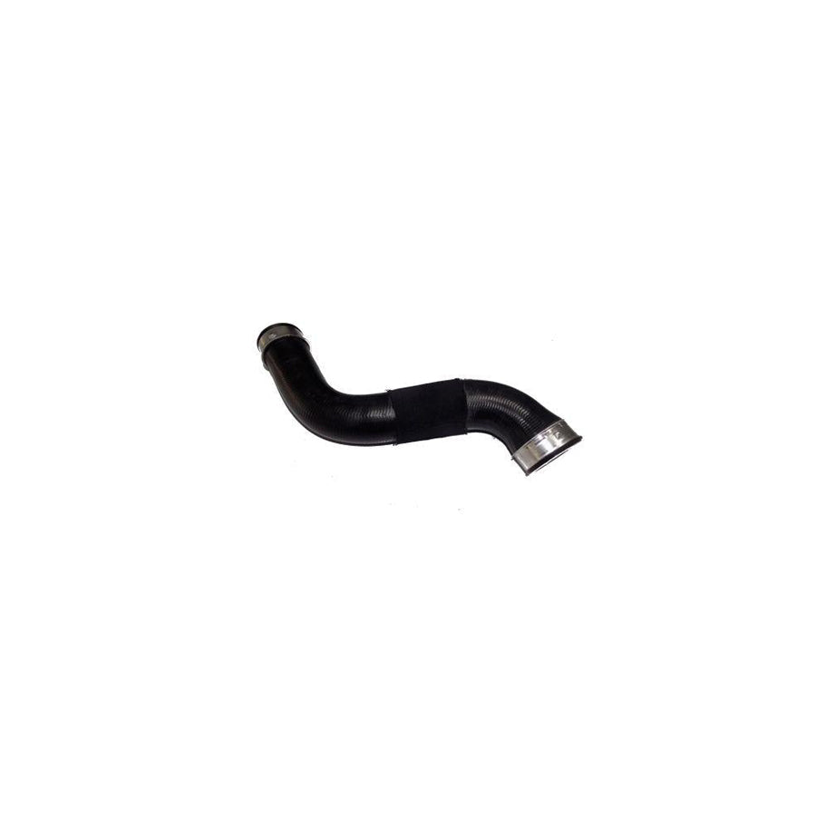 BUGIAD 81660 Charger Intake Hose Suitable for Mercedes-Benz E-Class