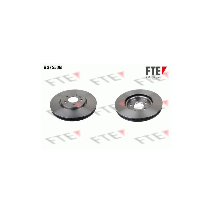 FTE 9081138 Brake Disc