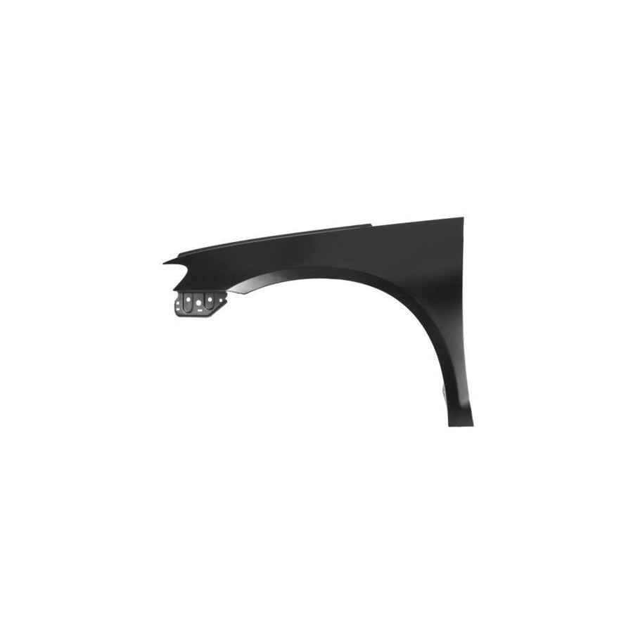 Blic 6504-04-9532311P Wing Fender for VW Scirocco III (137, 138)