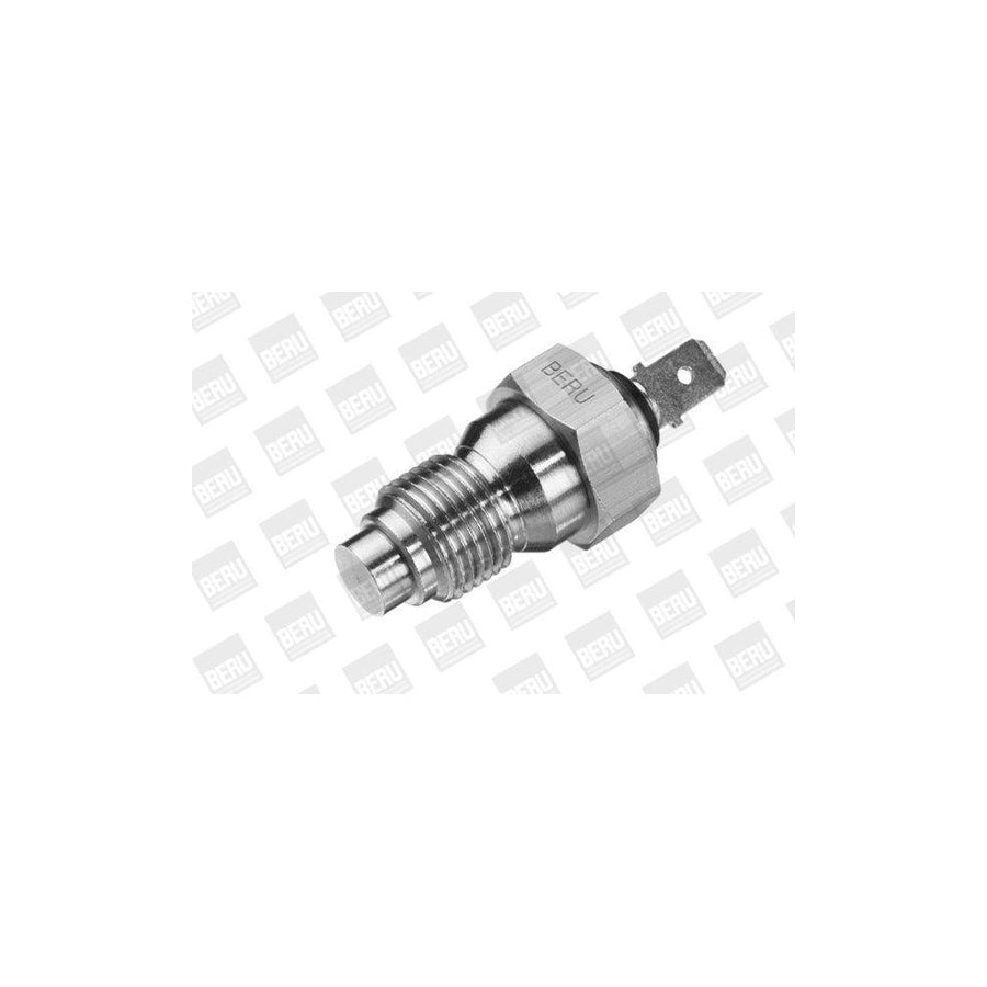 Beru St062 Sensor, Coolant Temperature