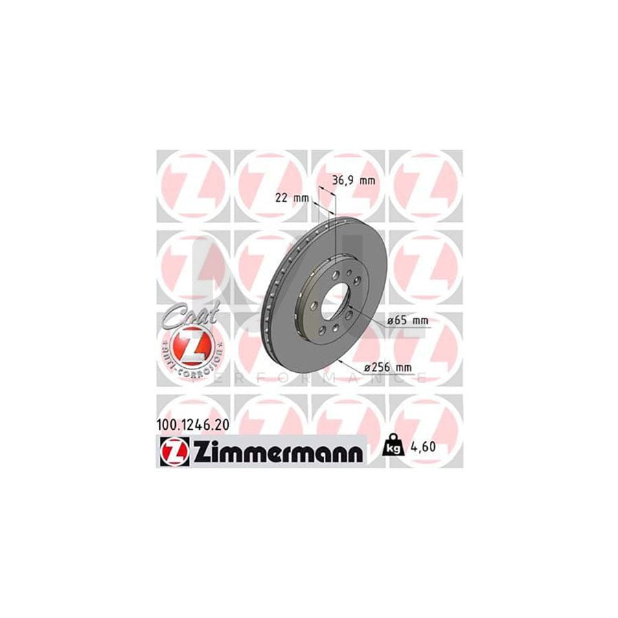 ZIMMERMANN COAT Z 100.1246.20 Brake Disc for AUDI A2 (8Z0) Externally Vented, Coated, High-carbon  - 1 piece