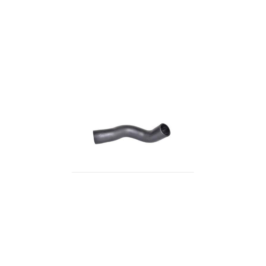 BUGIAD 88100 Charger Intake Hose