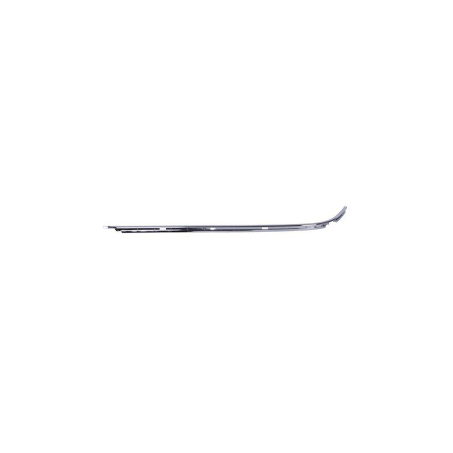 Blic 5703-05-0061972P Bumper Moulding for BMW 3 Series