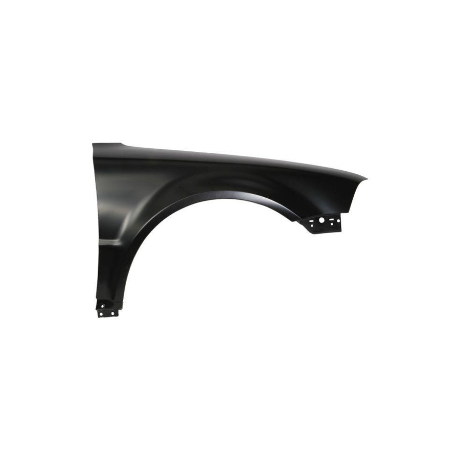 Blic 6504-04-9539316P Wing Fender for VW Passat