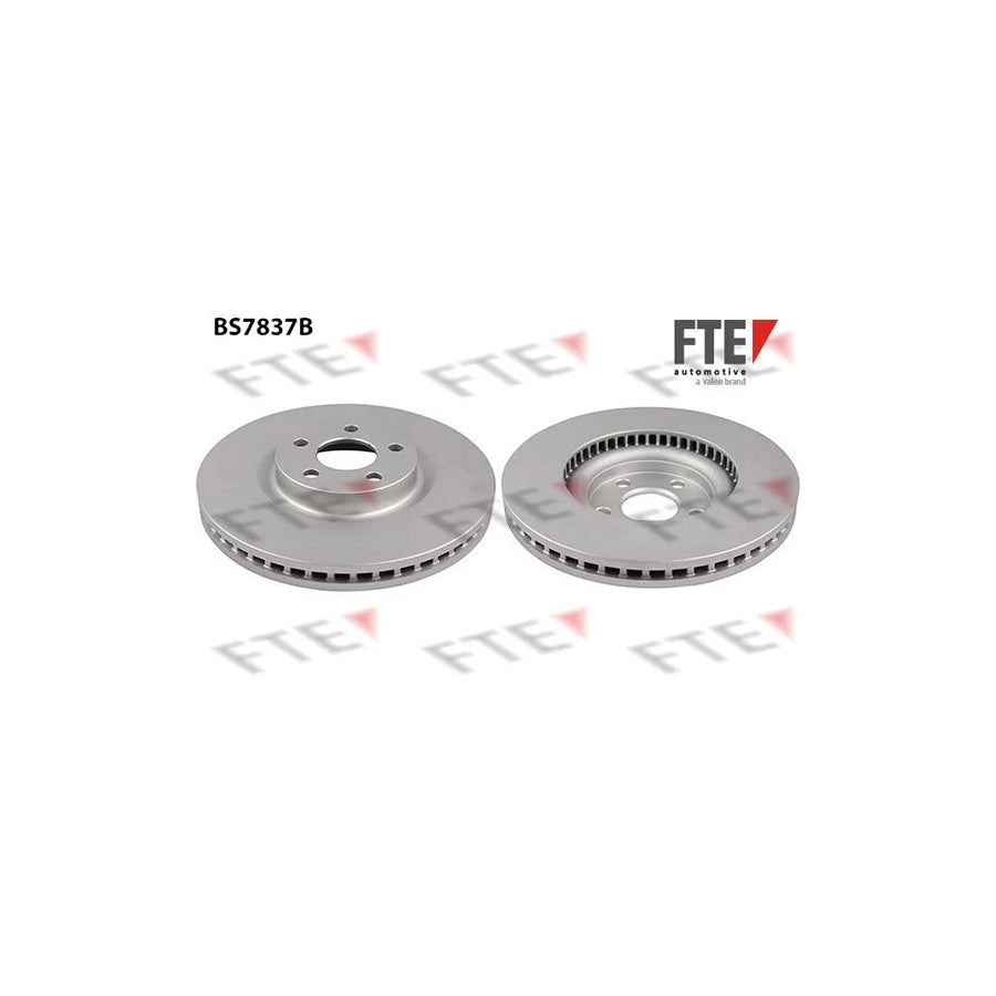 FTE 9081135 Brake Disc