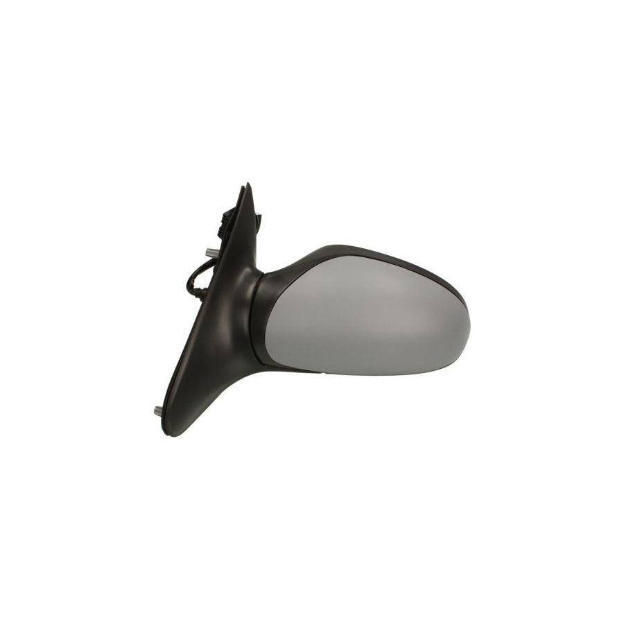 Blic 5402-04-1125859P Wing Mirror for Peugeot 406