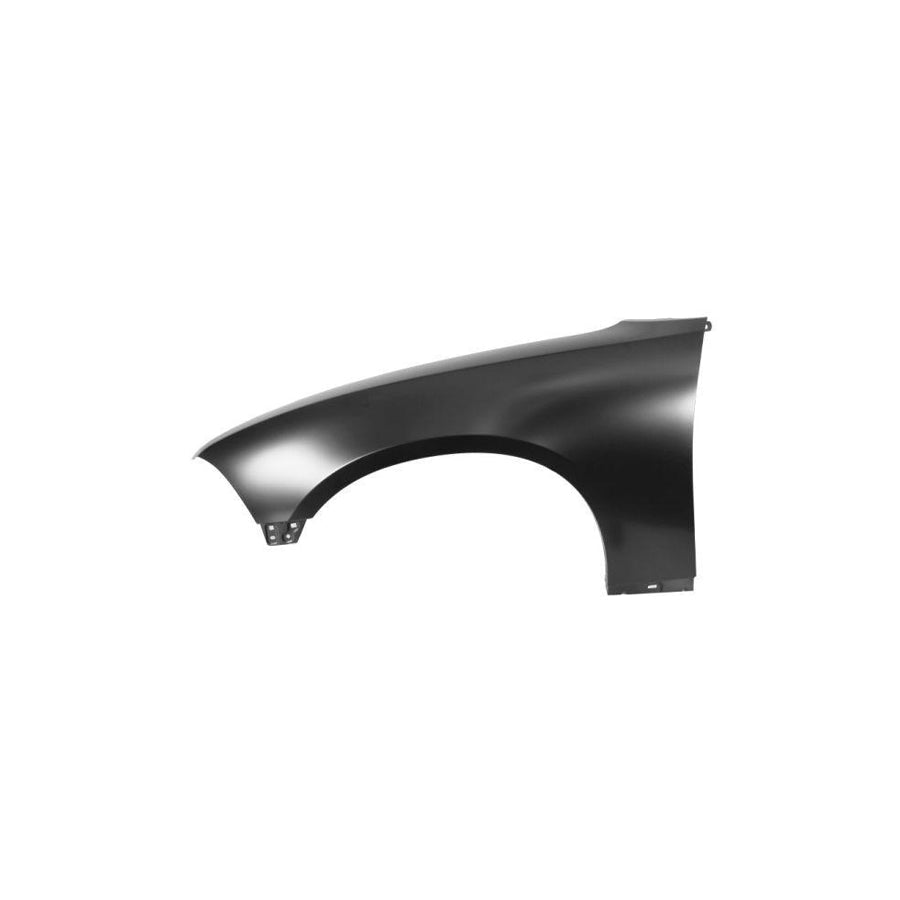 Blic 6504-04-0932311P Wing Fender for Dodge Charger VII (LD)