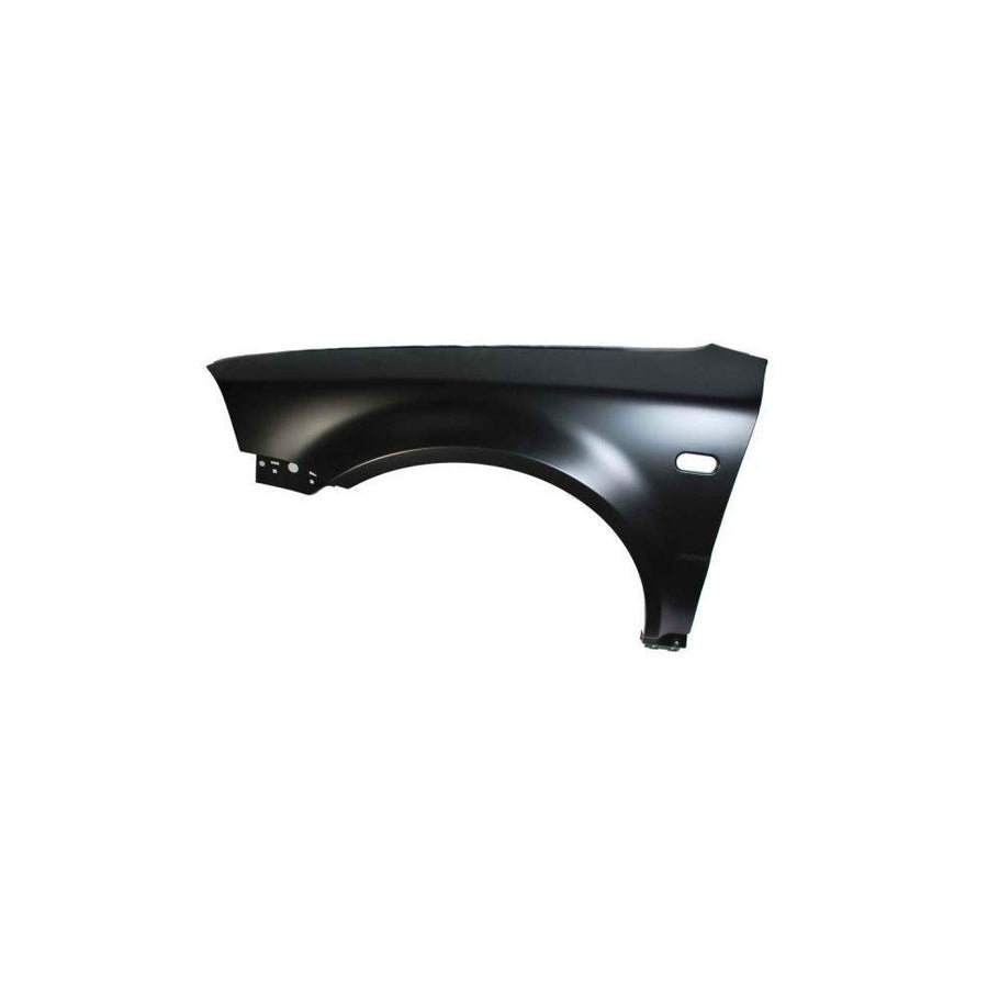 Blic 6504-04-9539313Q Wing Fender for VW Passat