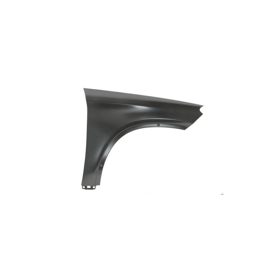 Blic 6504-04-3536311Q Wing Fender Suitable for Mercedes-Benz Gle Off-Road (W166)