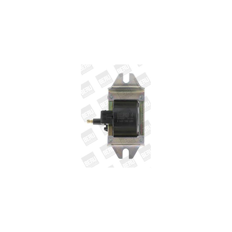 Beru Zs250 Ignition Coil
