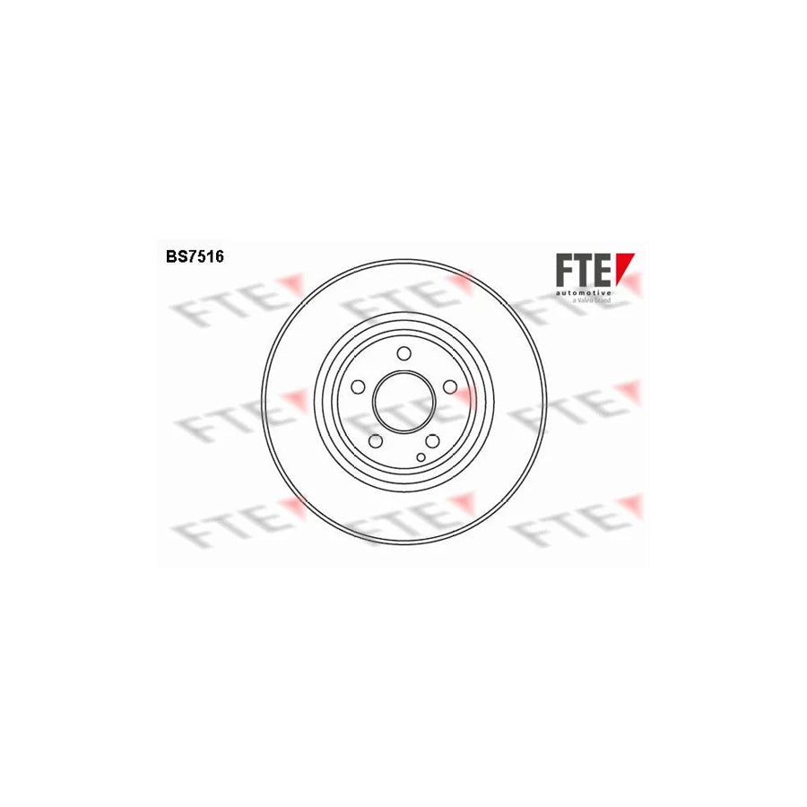 FTE Bs7516 Brake Disc
