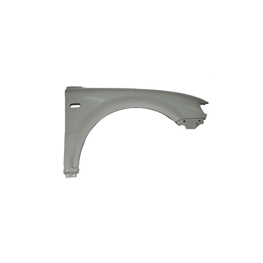 Blic 6504-04-9539312P Wing Fender for VW Passat