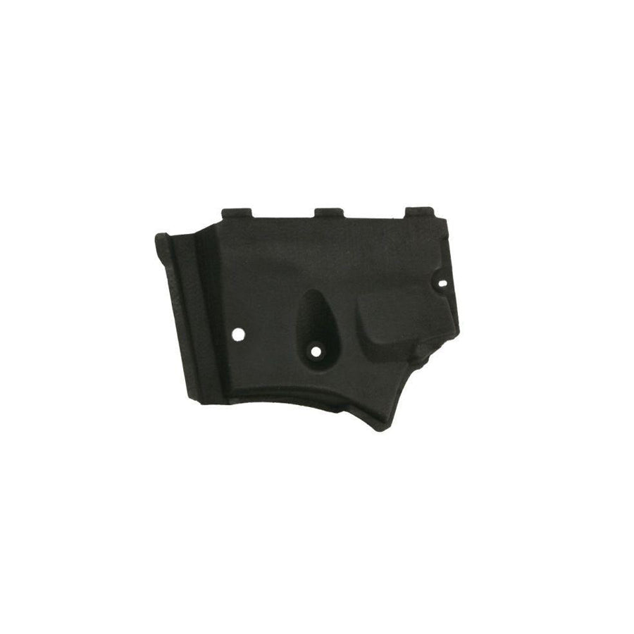 Blic 6601-02-0032981P Engine Cover for Audi A6