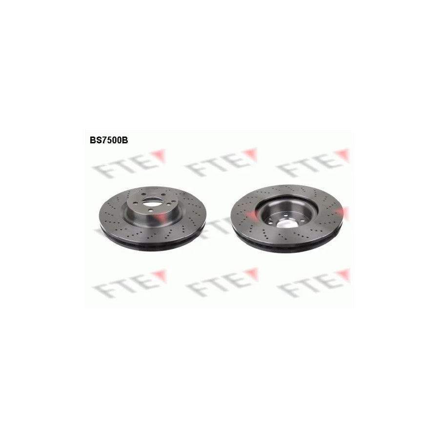 FTE 9081161 Brake Disc