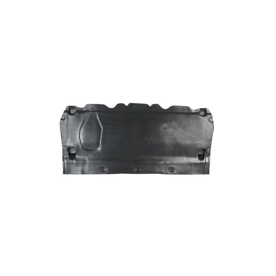 Blic 6601-02-0032860P Engine Cover for Audi A6