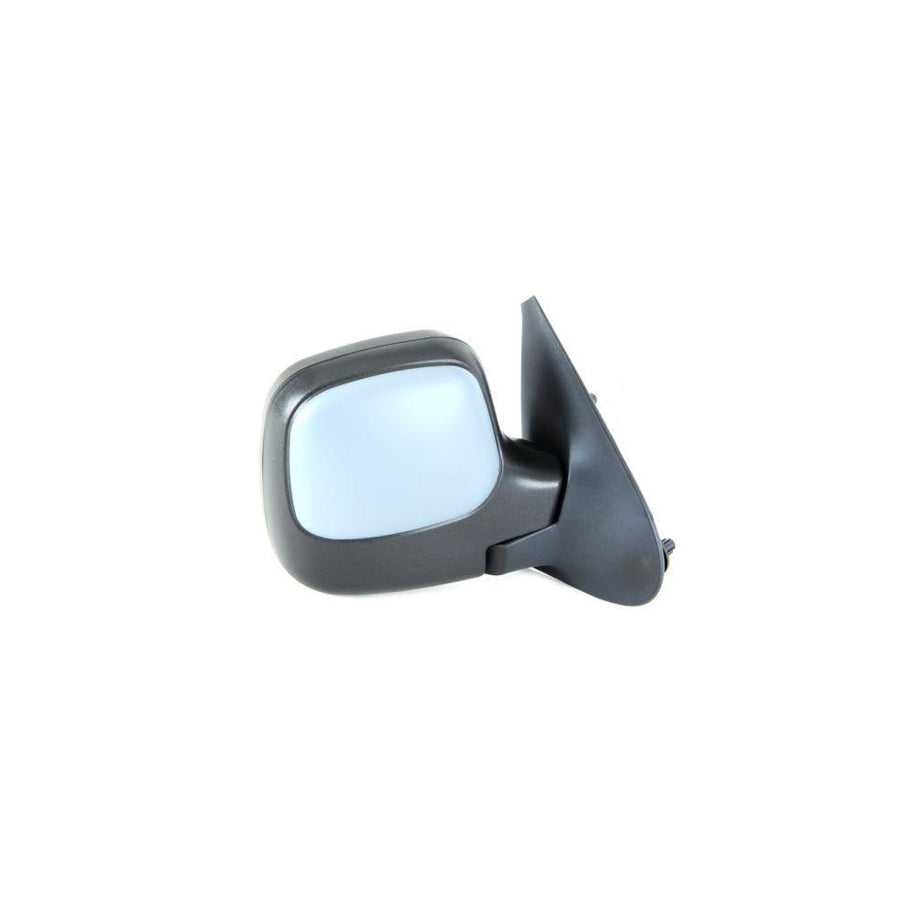 Blic 5402-04-9229972 Wing Mirror