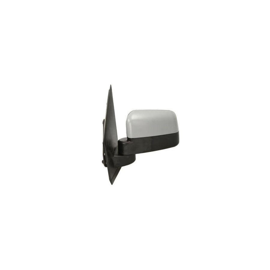 Blic 5402-04-9229499P Wing Mirror