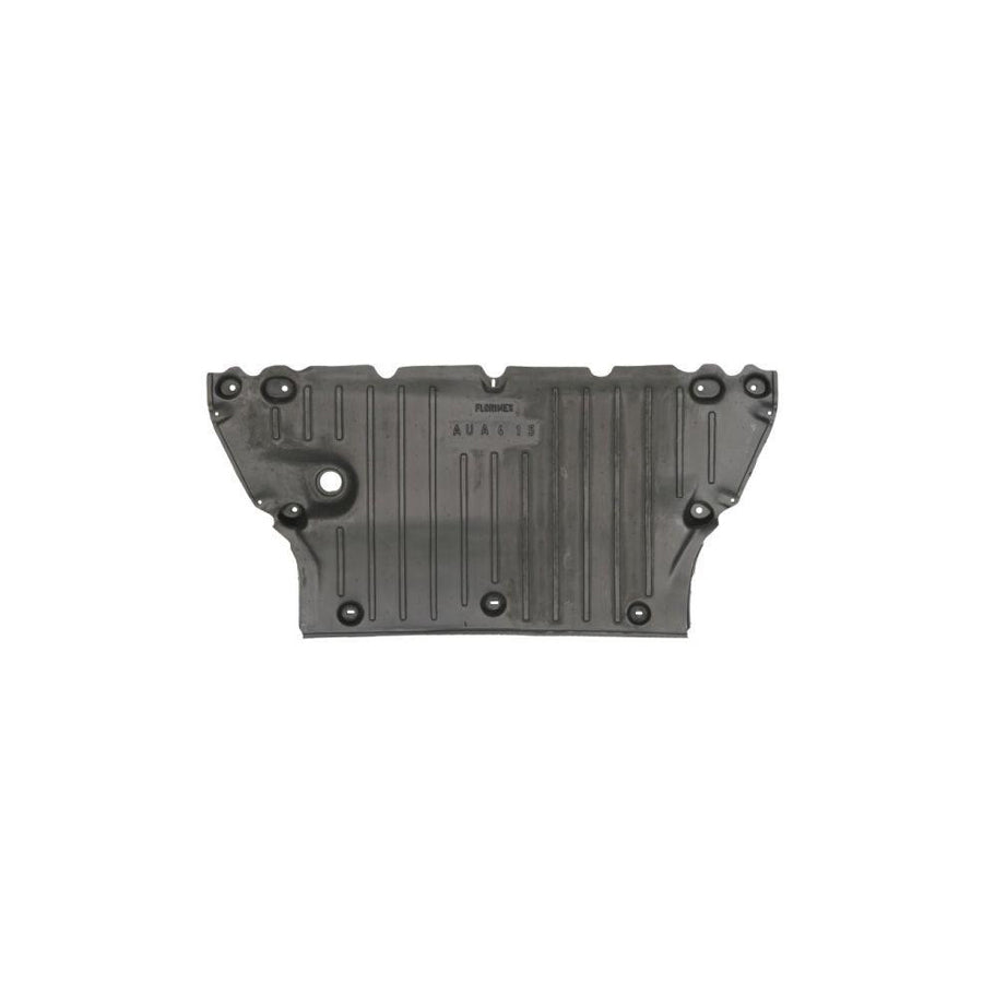 Blic 6601-02-0030860P Engine Cover for Audi A4