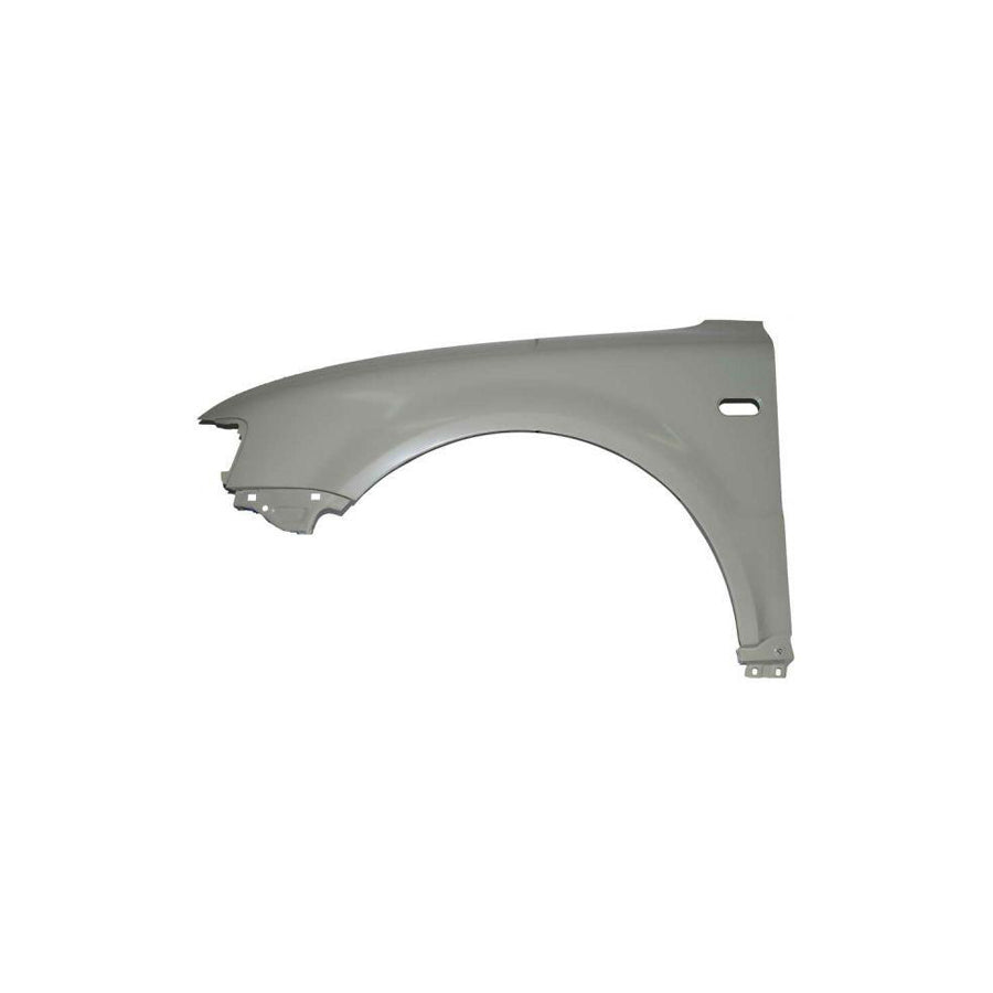Blic 6504-04-9539311P Wing Fender for VW Passat