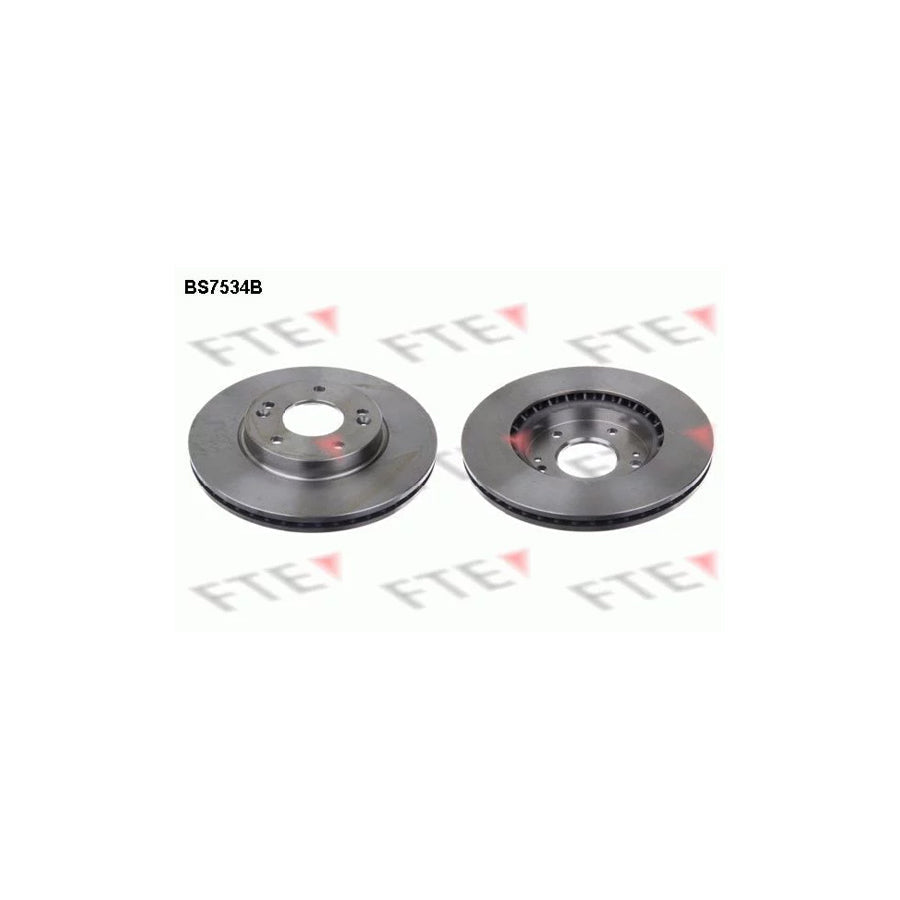 FTE Bs7534B Brake Disc