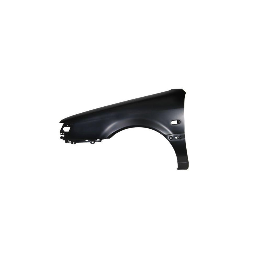 Blic 6504-04-9538311P Wing Fender for VW Passat