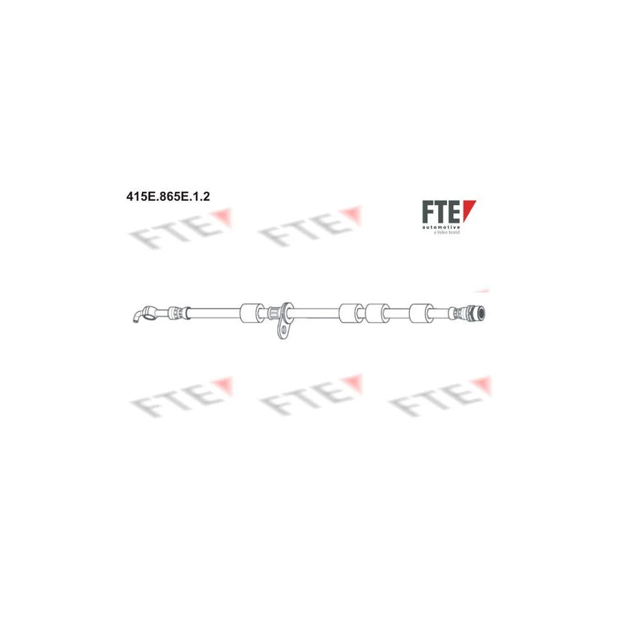 FTE 415E.865E.1.2 Brake Hose