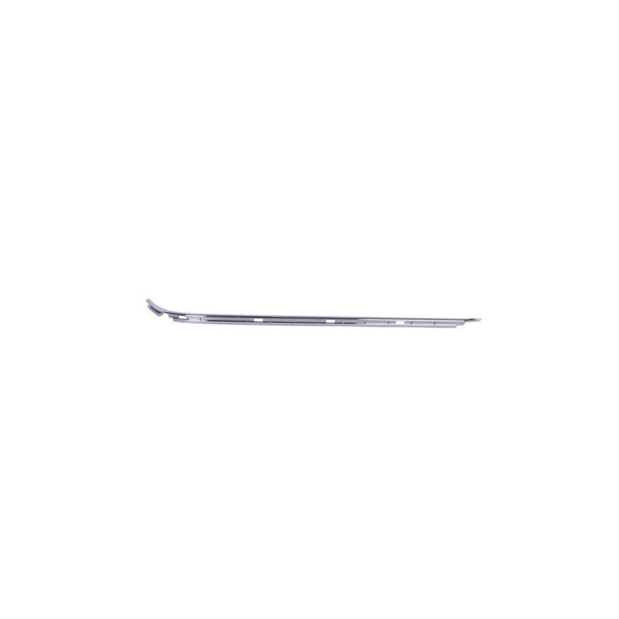 Blic 5703-05-0065971P Bumper Moulding for BMW 5 Series