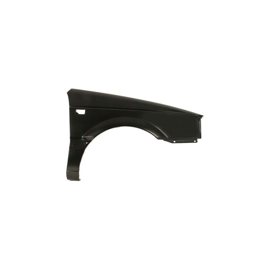 Blic 6504-04-9537312P Wing Fender for VW Passat