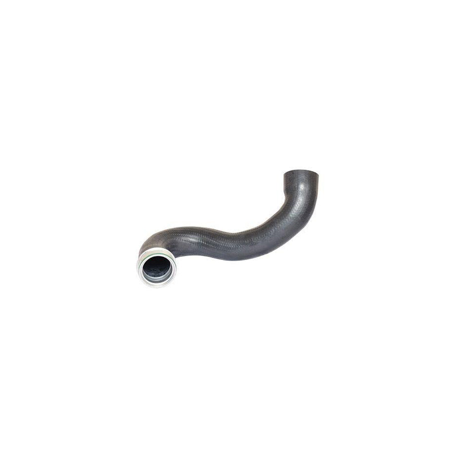 BUGIAD 88474 Charger Intake Hose Suitable for Mercedes-Benz Sprinter