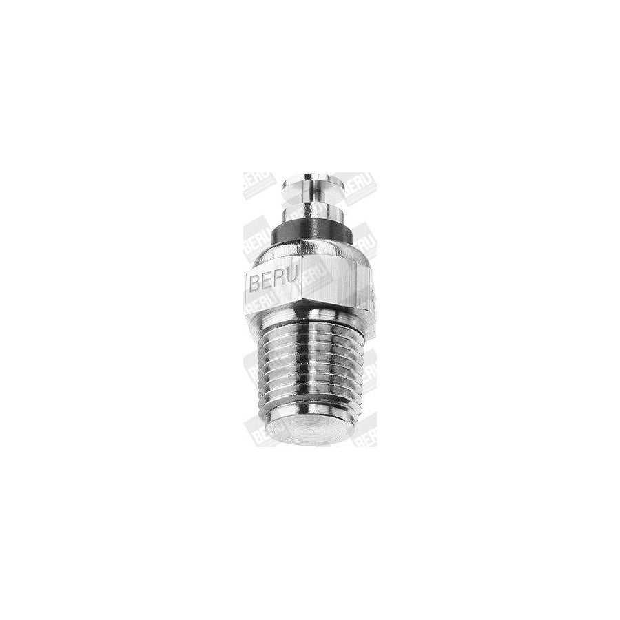 Beru St054 Sensor, Coolant Temperature