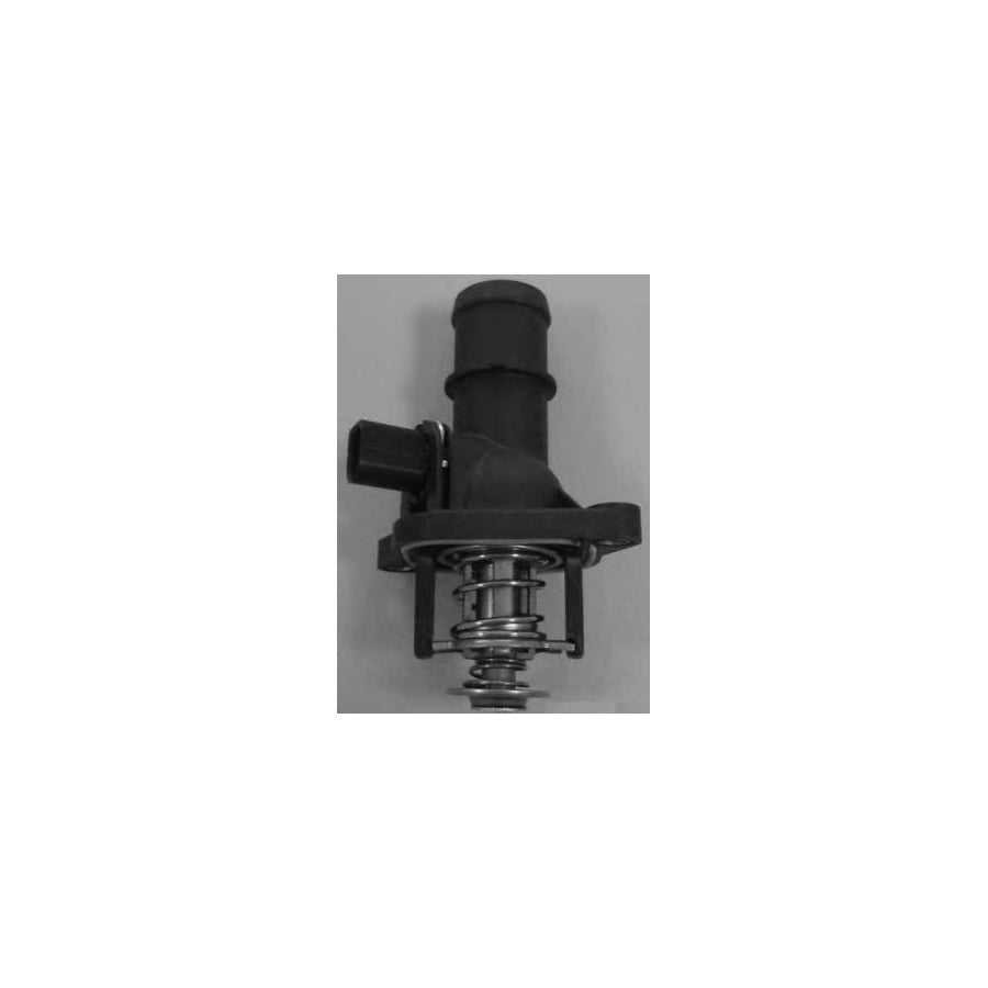 BUGIAD Bsp20188 Engine Thermostat
