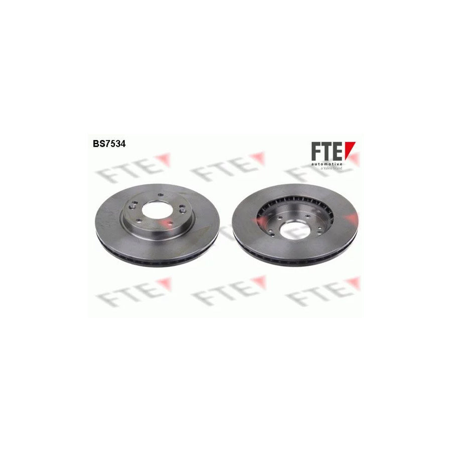 FTE Bs7534 Brake Disc