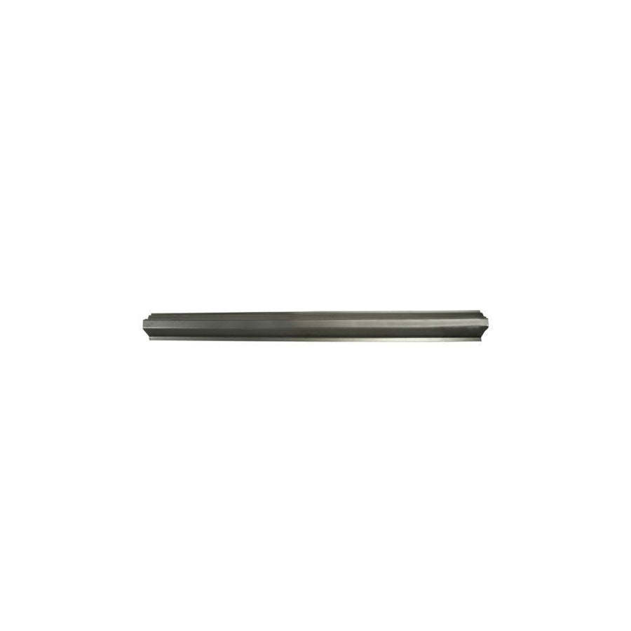 Blic 6505-06-5502014P Rocker Panel for Peugeot 106