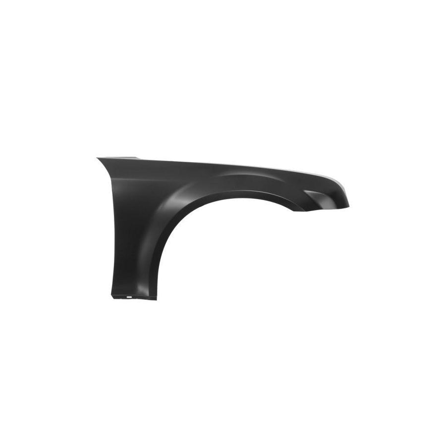 Blic 6504-04-0938312P Wing Fender for Chrysler 300