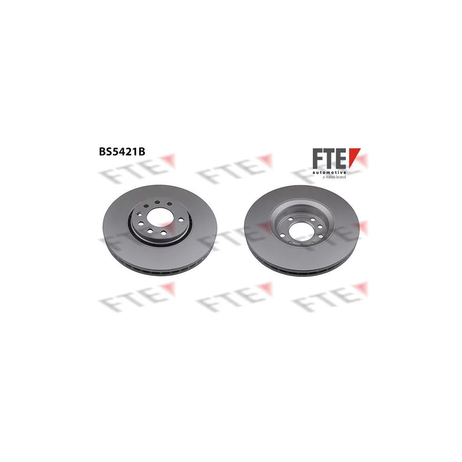FTE 9081176 Brake Disc