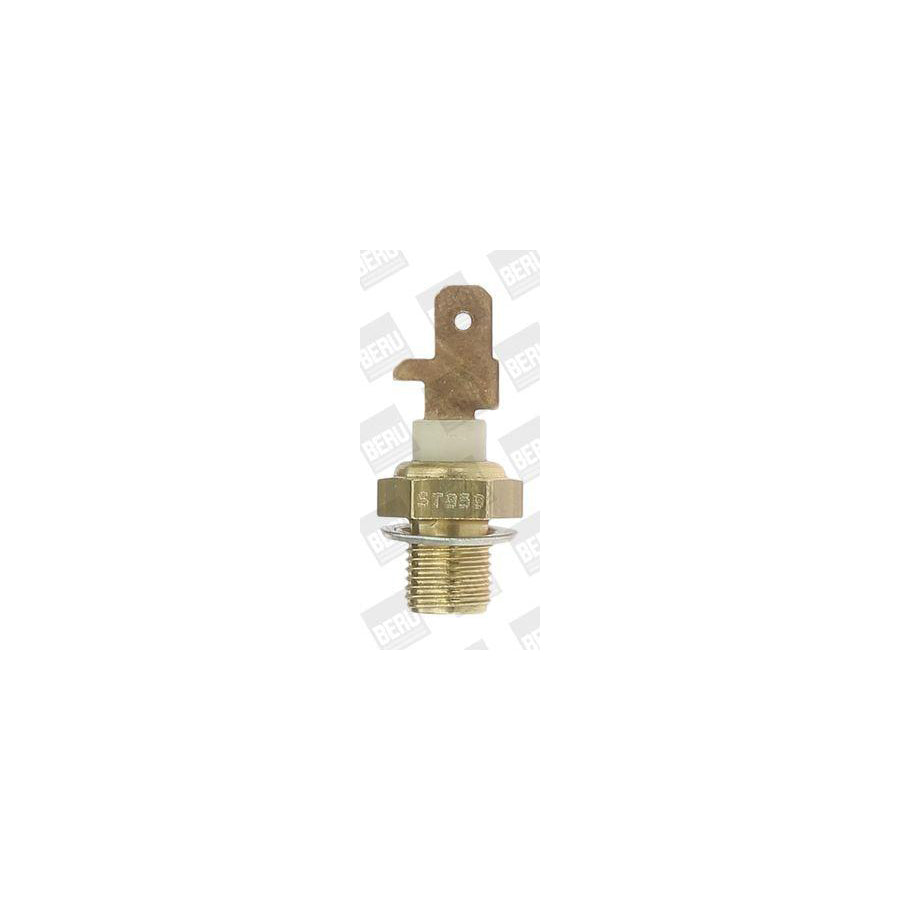 Beru St050 Sensor, Coolant Temperature