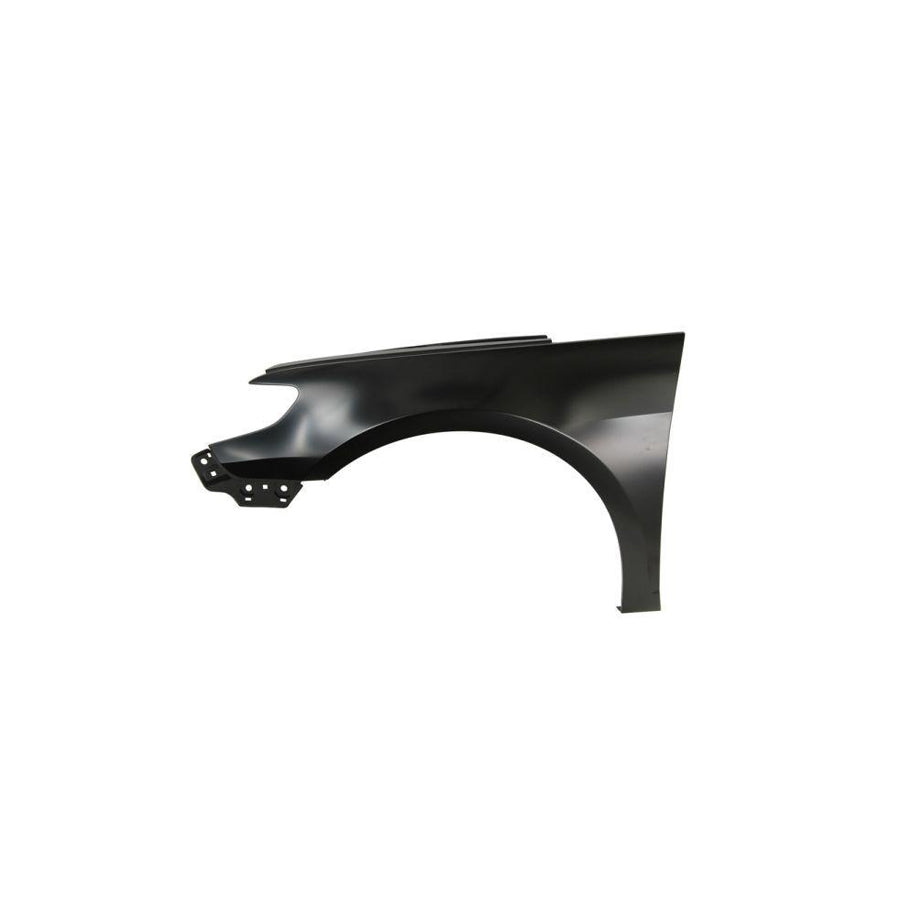 Blic 6504-04-9540313P Wing Fender for VW Passat CC (357)
