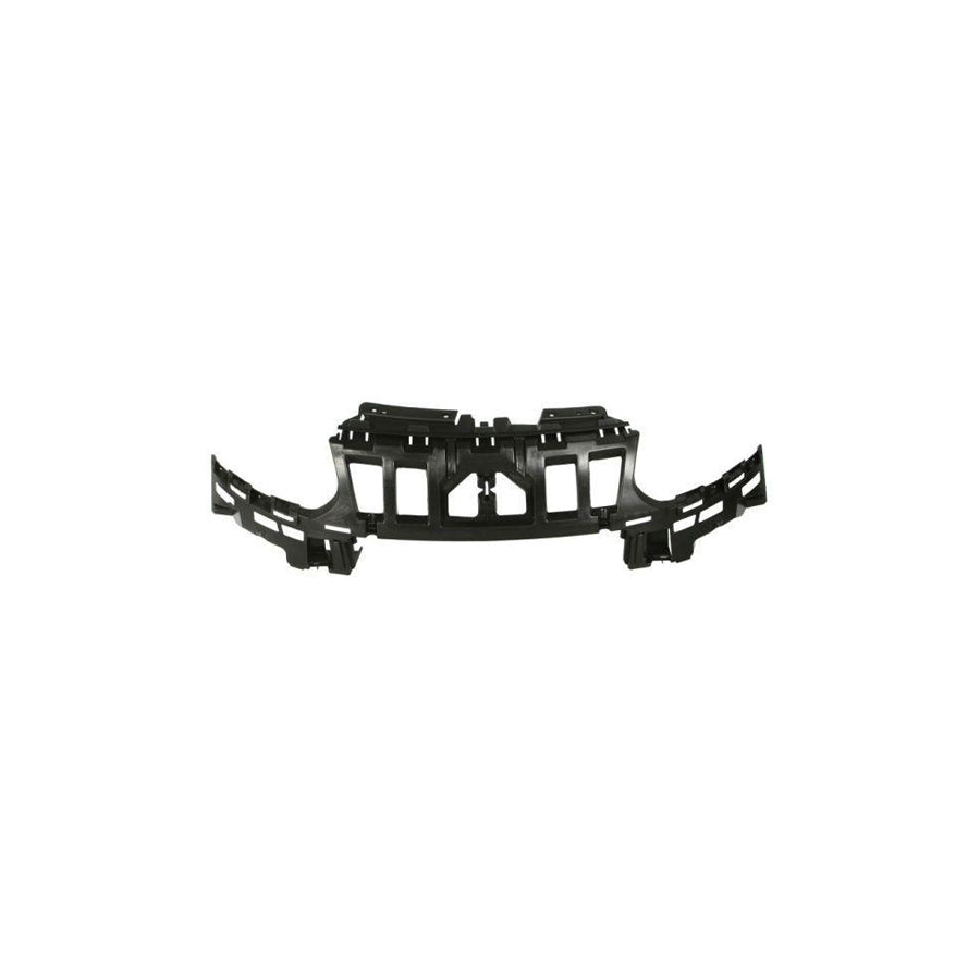 Blic 5502-00-0541941P Bumper Reinforcement for Citroen C3 Picasso