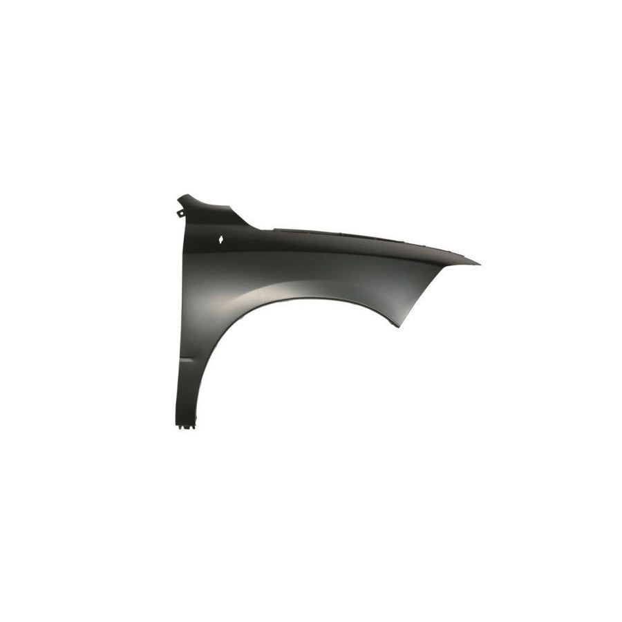 Blic 6504-04-0935312P Wing Fender for Dodge Ram 1500 Pickup (Dj, Ds)