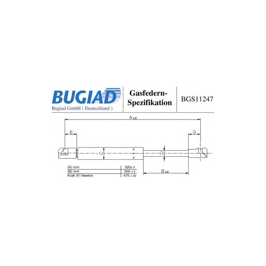 BUGIAD Bgs11247 Tailgate Strut for VW Tiguan I (5N)