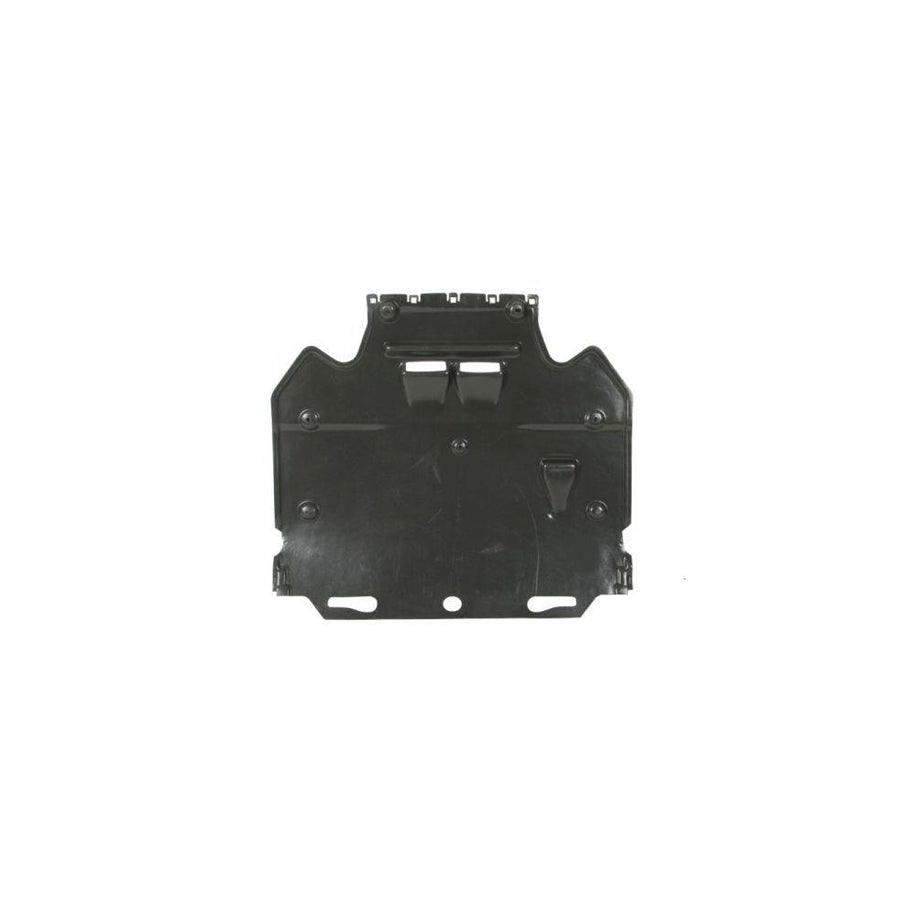Blic 6601-02-0042860P Skid Plate for Audi A6