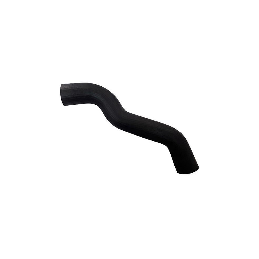 BUGIAD 81692 Charger Intake Hose