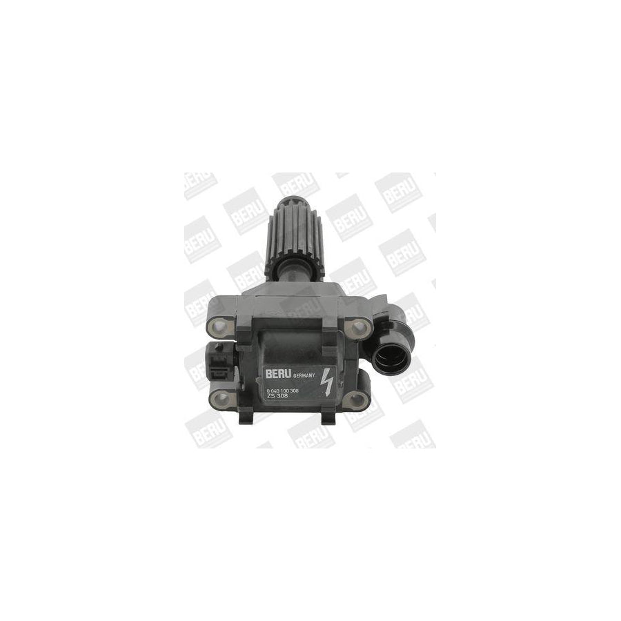 Beru Zs308 Ignition Coil