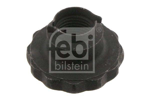 Febi Bilstein 46689 Nut, Stub Axle | ML Performance UK Car Parts