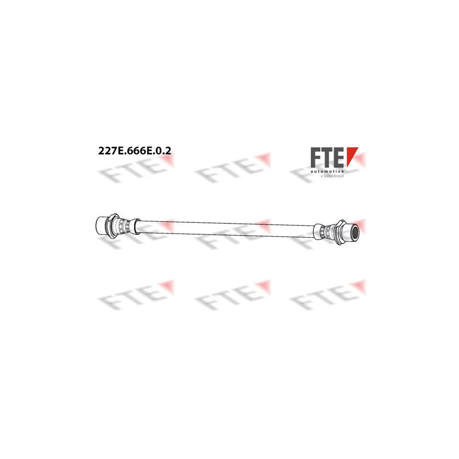 FTE 227E.666E.0.2 Brake Hose