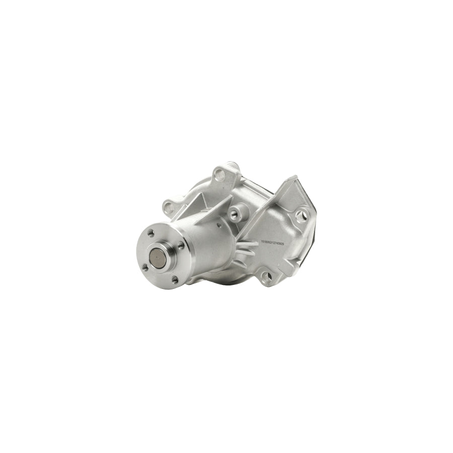 Auger 94877 Water Pump