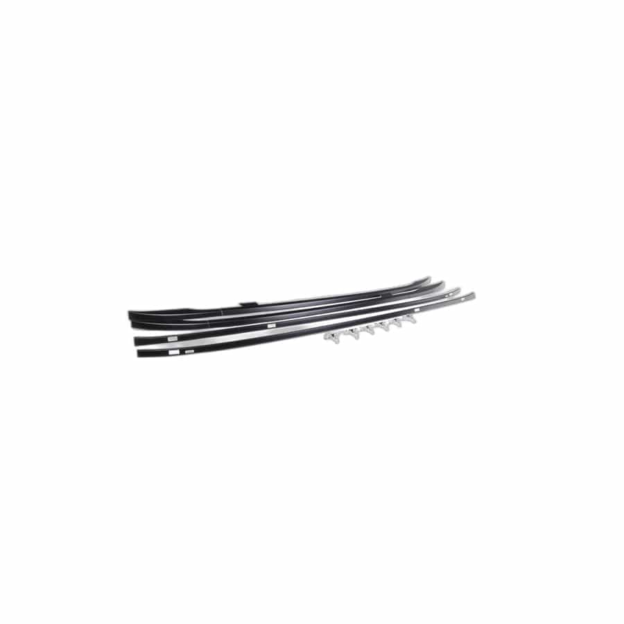 Genuine BMW 51130007867 E46 Retrofit Kit, Roof Railing (Inc. 325xi, 318d & 330i)