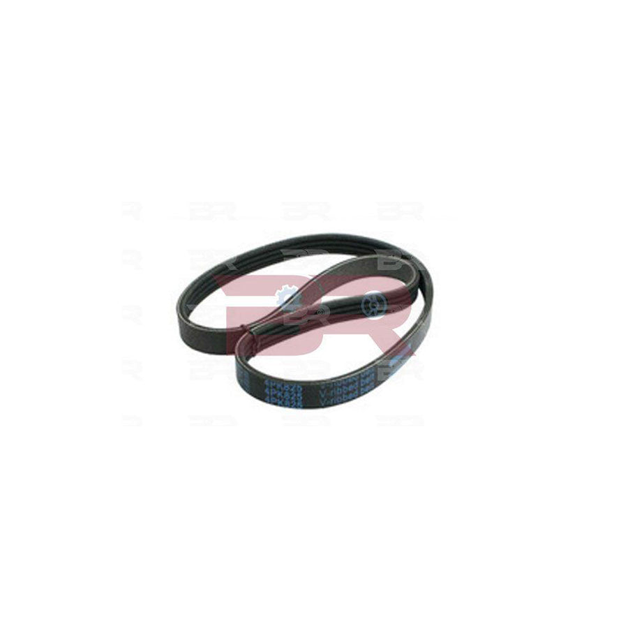 Botto Ricambi Brm2568 V-Ribbed Belt