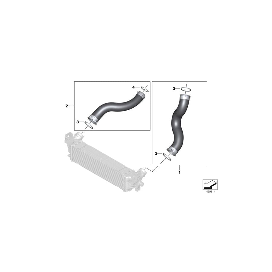 Genuine BMW 11618596842 G02 G20 Preformed Seal (Inc. X4 M, 320iX & X3 M)
